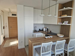 Royal apartment Novi Mercator
